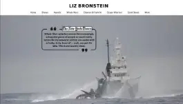 lizbronstein
